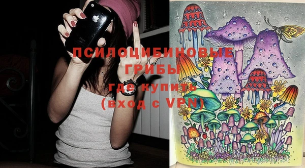 мяу мяу мука Горняк