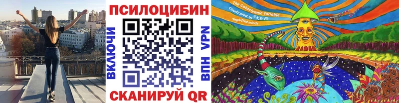 Псилоцибиновые грибы Magic Shrooms  Купить закладки  Спасск-Дальний 